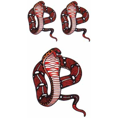 �^�g�D�[�V�[���@�R�u��