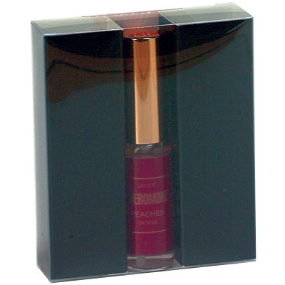 �t�F�������X�v���[�@�i�����p�j