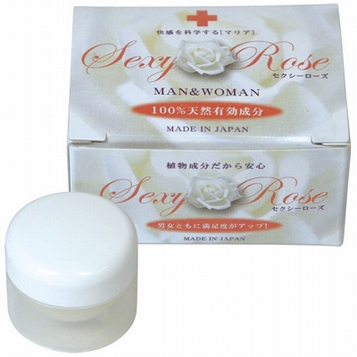 �Z�N�V�[���[�Y�@�i�m�[�}���j