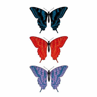 �^�g�D�[�V�[���@�R�F�g�H