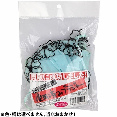 ����ɐ������܂����I�g�p�ς݃u���W���[