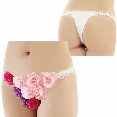 �t�����[�K�[�f���V���[�c