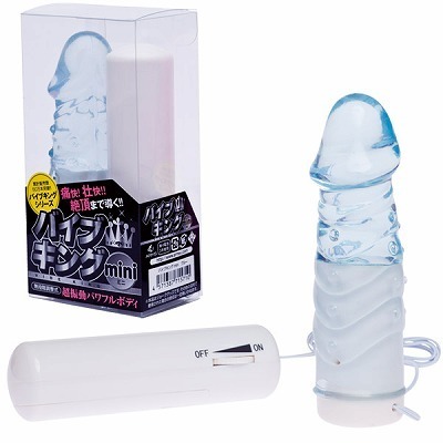 �o�C�u�L���O�@�i���������j�@�u���[