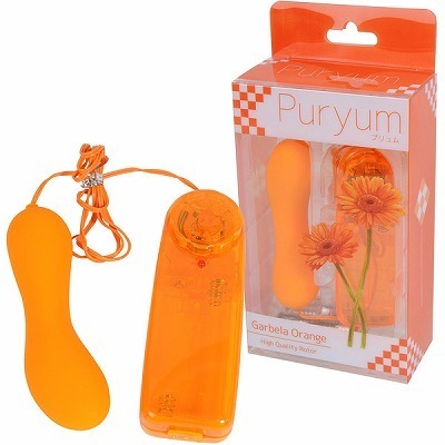 �v�������@�i�I�����W�j