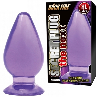 �V�[�N���b�g�v���O�@�U�@�l�N�X�g�@�i�w�k�j