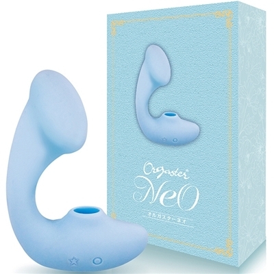 ���z������I���K�X�^�[�@�l�I�@�i�u���[�j