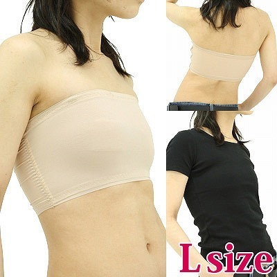 �o�X�g�z���_�[�@���Ԃ��p�T�|�[�^�[�@�k