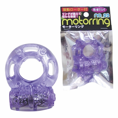 ���[�^�[�����O�@�i�Q�j