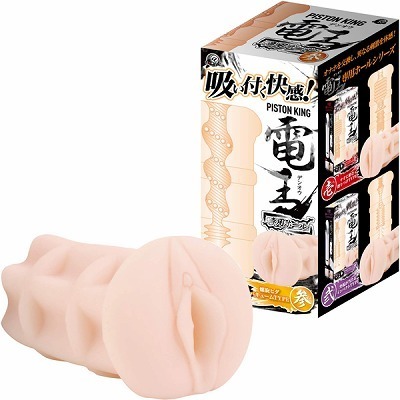 �s�X�g���L���O�d���@��p�z�[���@�i�Q�j