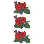 �^�g�D�[�V�[���@�o���Q