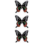 �^�g�D�[�V�[���@���Q