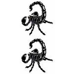 �^�g�D�[�V�[���@�T�\��