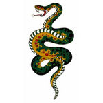 �^�g�D�[�V�[���@����