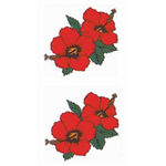 �^�g�D�[�V�[���@�n�C�r�X�J�X