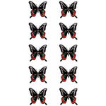 �^�g�D�[�V�[���@��