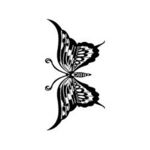 �^�g�D�[�V�[���@�����Q