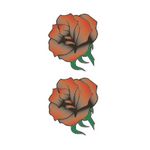 �^�g�D�[�V�[���@�K�N�g���C�o���P