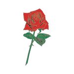 �^�g�D�[�V�[���@�K�N���