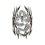 �^�g�D�[�V�[���@�g���C�o���E�h���S��