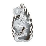 �^�g�D�[�V�[���@�Ή��h���S��