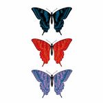 �^�g�D�[�V�[���@�R�F�g�H