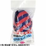 ����ɐ������܂����I���q�Z���̃u���W���[