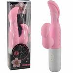 �����������o�C�u