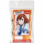 �{���g�p�ς݁@�i���q�Z���̃u���W���[�j