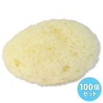 �V�R�C�ȁ@��T�����@�i�P�O�O����j