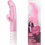 �X�e�B�b�N�J�[���@�i�s���N�j