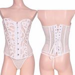 �X�^�C���A�b�v�w���҂ݏグ�R���Z�b�g���s�o�b�N�Z�b�g�@�z���C�g