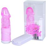 �|�R�`���N�P���@�T�C�����g�@�i�s���N�j