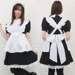 �a�`�a�x���C�h�@�a�h�f(�R�X�v���ߑ�)