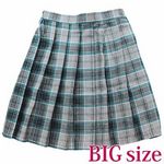 �`�F�b�N���v���[�c�X�J�[�g�@�a�h�f