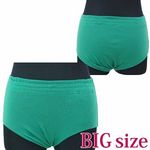 商品入荷待ち ブルマ単品 グリーン BIG(コスプレ衣装)