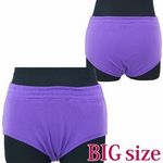 商品入荷待ち ブルマ単品 パープル BIG(コスプレ衣装)