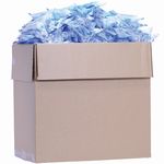 ���t�����u���V�T�O�O�{�g