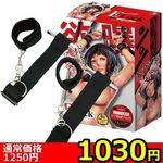 �y�P�O�R�O�~�����ʌ���z�d�k�������i�C�[���b�N�j�@�h�A�r�S��������l�l�P�_���聄