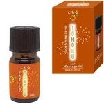 �s�n�l�n�q�t�i�Ƃ���j�@�T�����@�I�����W�t���[�o�[